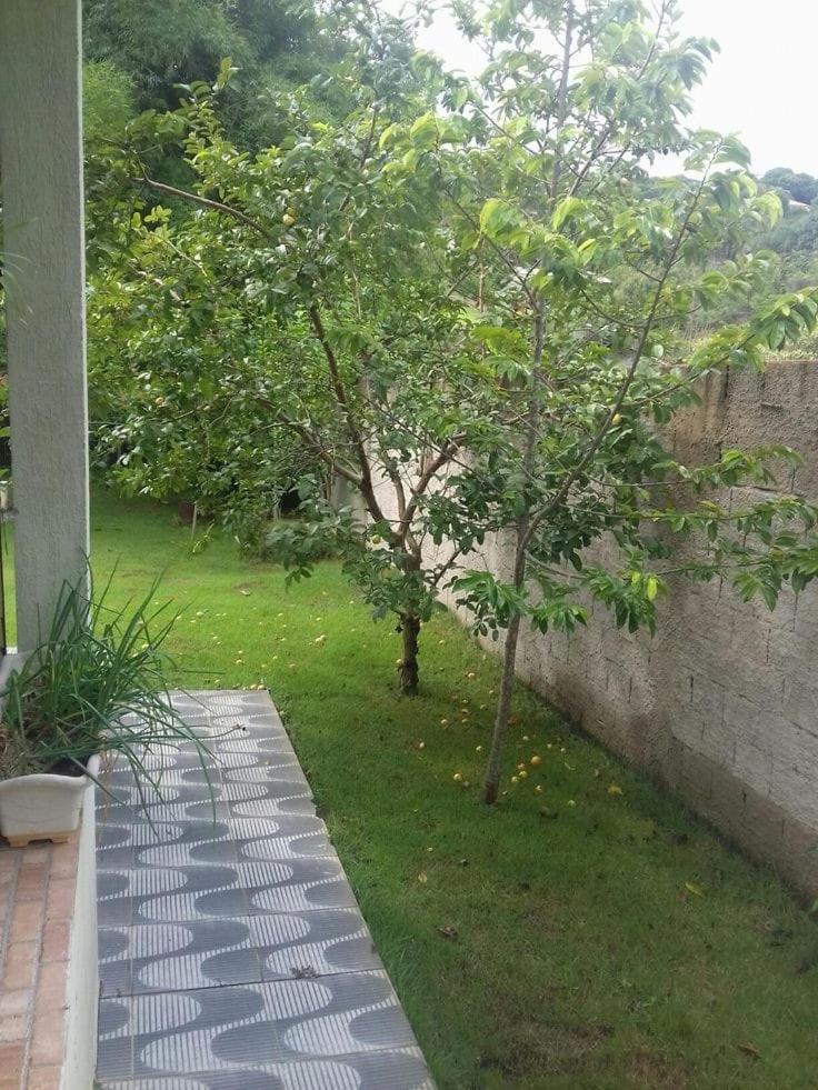 Mauli Hotel 拉瓦萨市 外观 照片